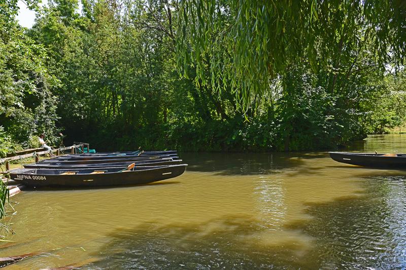 min 2025 06 08 Marais Poitevin 175